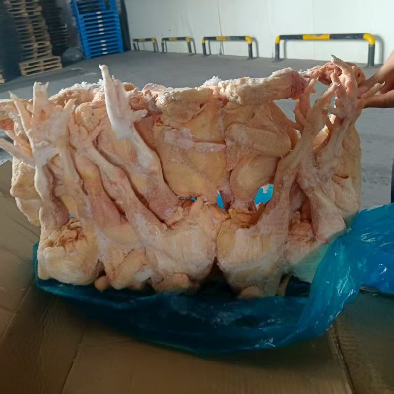 三黄鸡，黑风，小公鸡