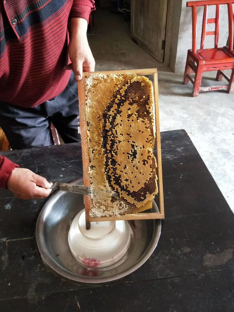 农家自养蜂蜜
