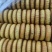 胡麻油神池月饼