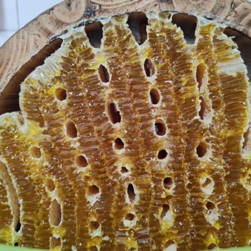土蜂蜜