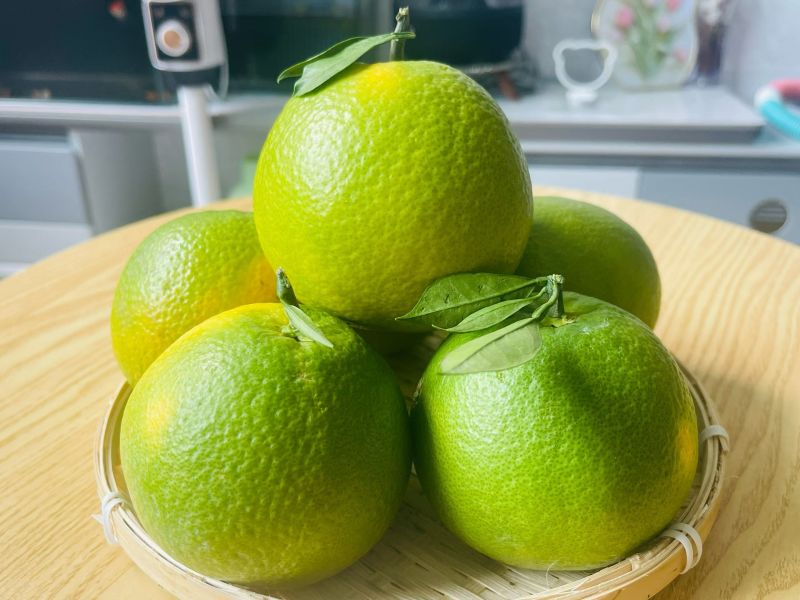 云南哀牢山·冰糖橙