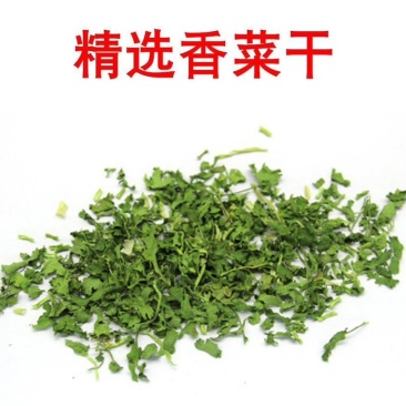 大量现货脱水香菜干