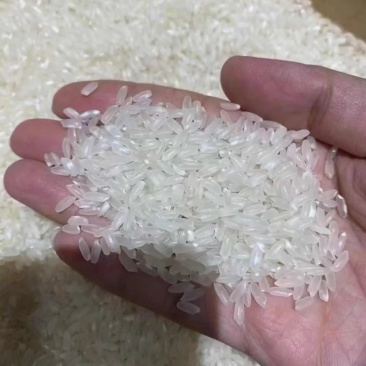 大米