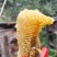 道真高山土蜂蜜