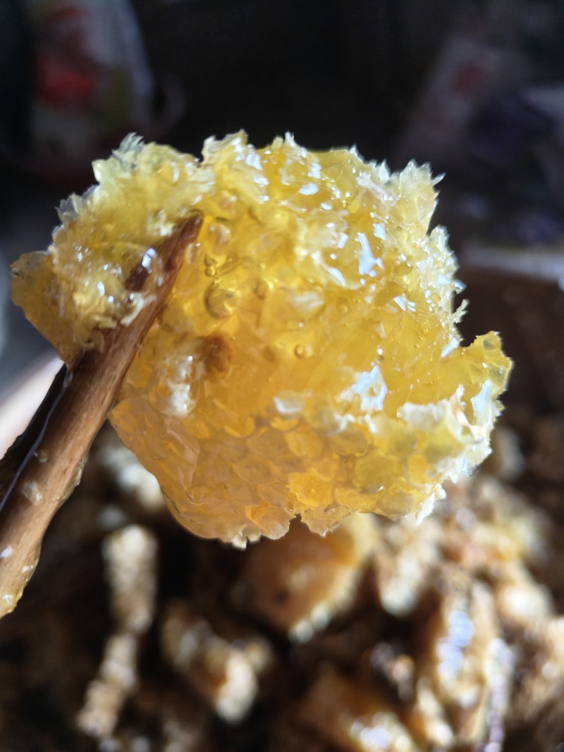 道真高山土蜂蜜