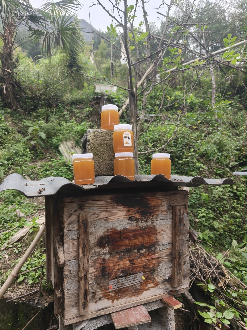 道真高山土蜂蜜