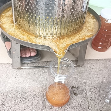 土蜂蜜