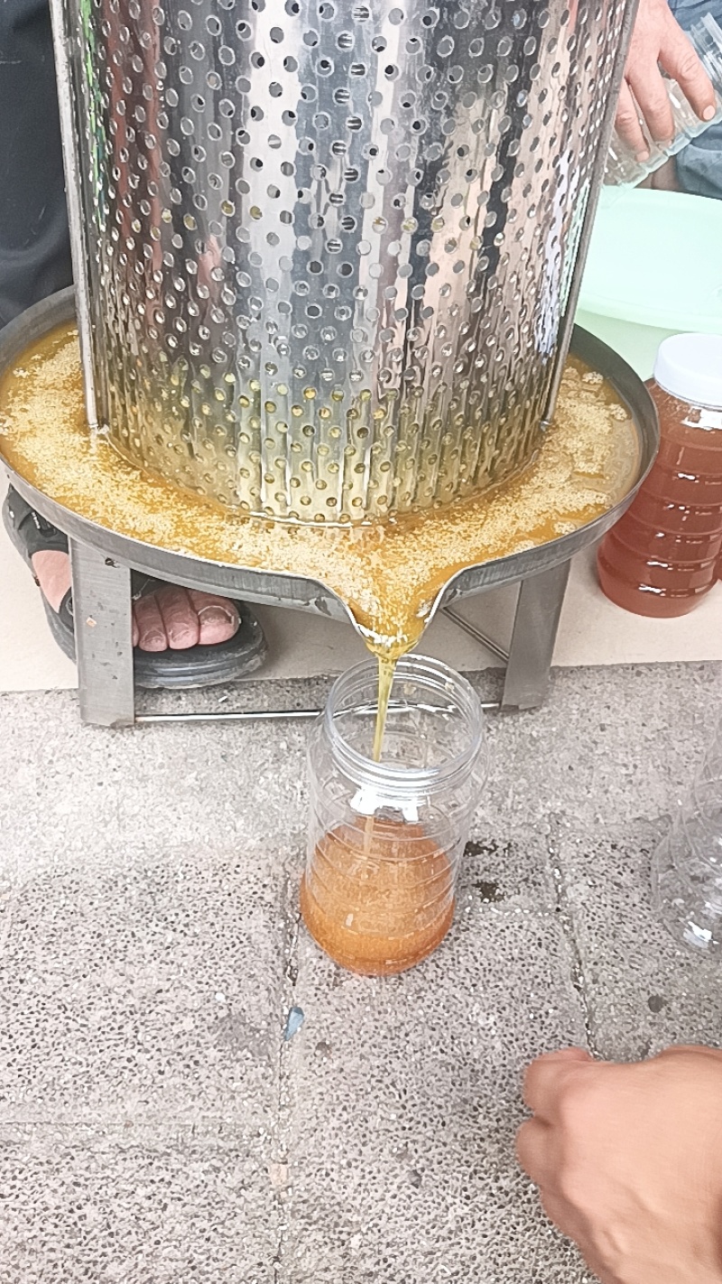 土蜂蜜