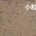 小粒豆