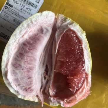 红心柚