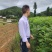 黄柏