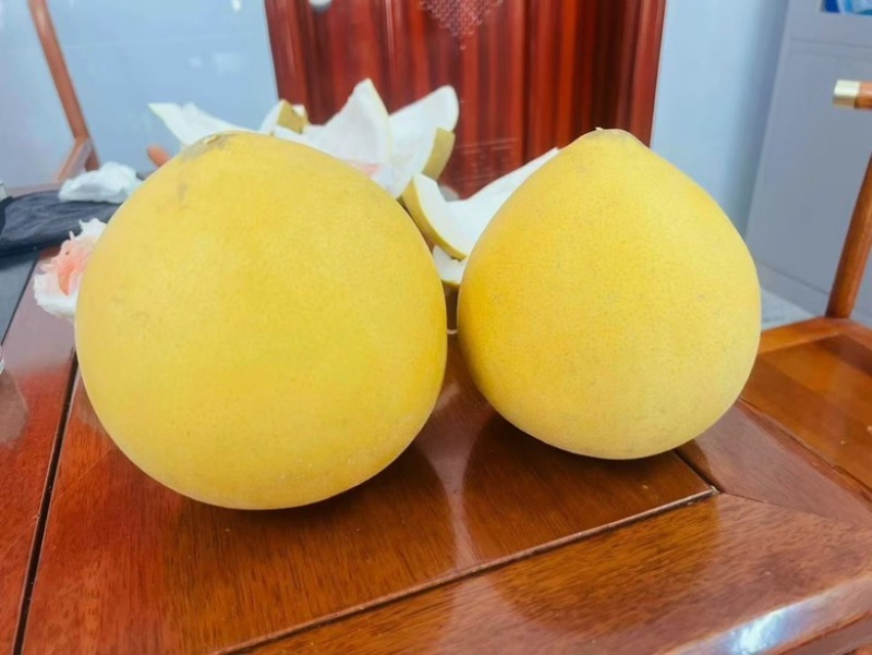 广西容县密柚，自家种的