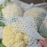 精品有机花菜，青梗白面，