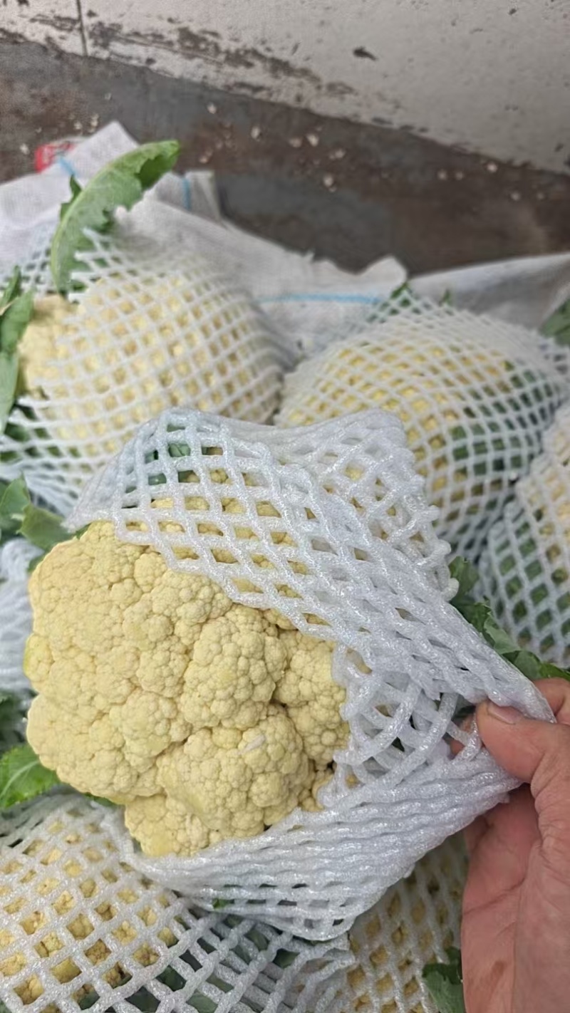 精品有机花菜，青梗白面，