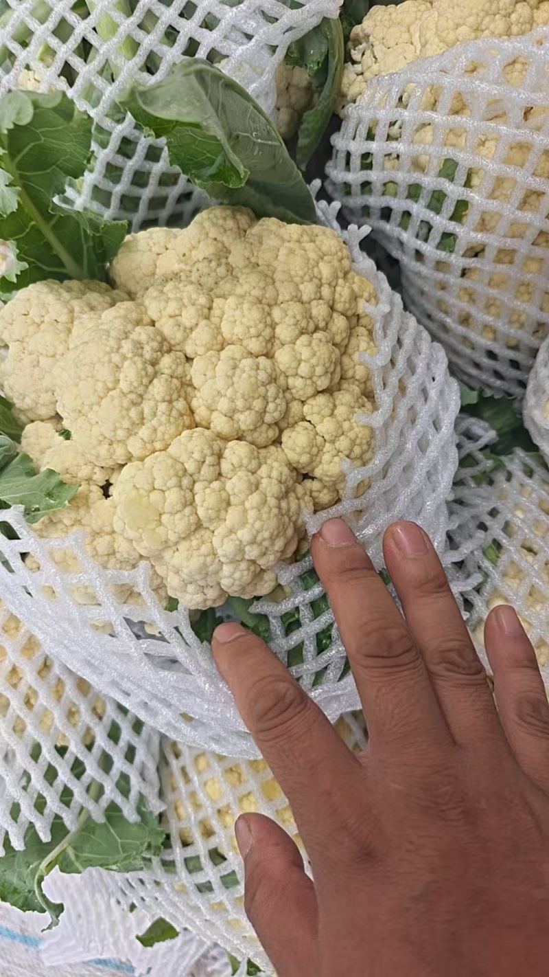 精品有机花菜，青梗白面，