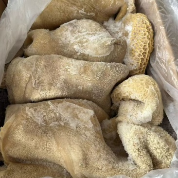 牛肚带金肚