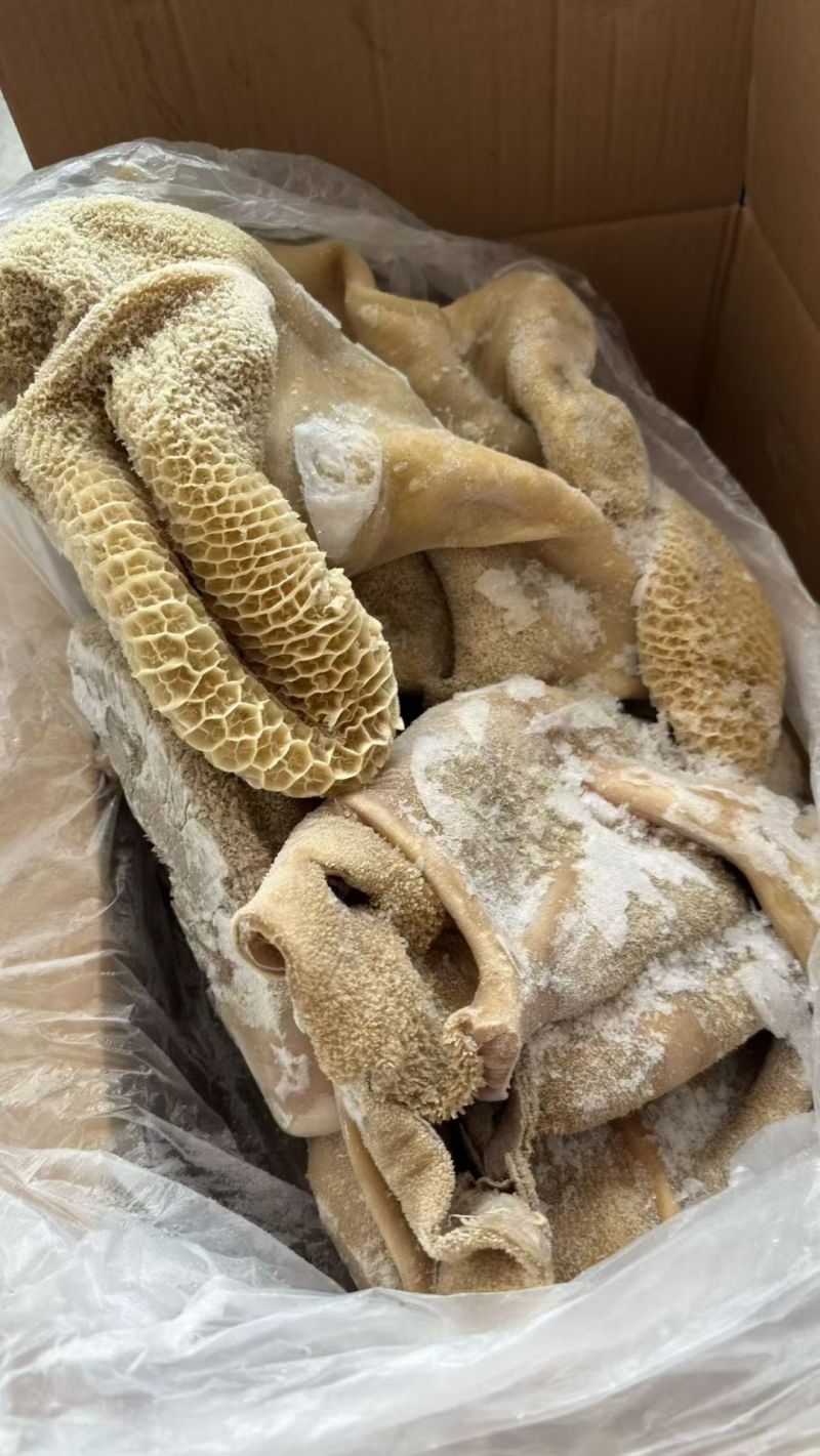 牛肚带金肚