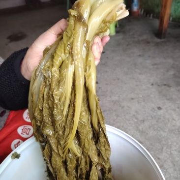 贵州酸菜