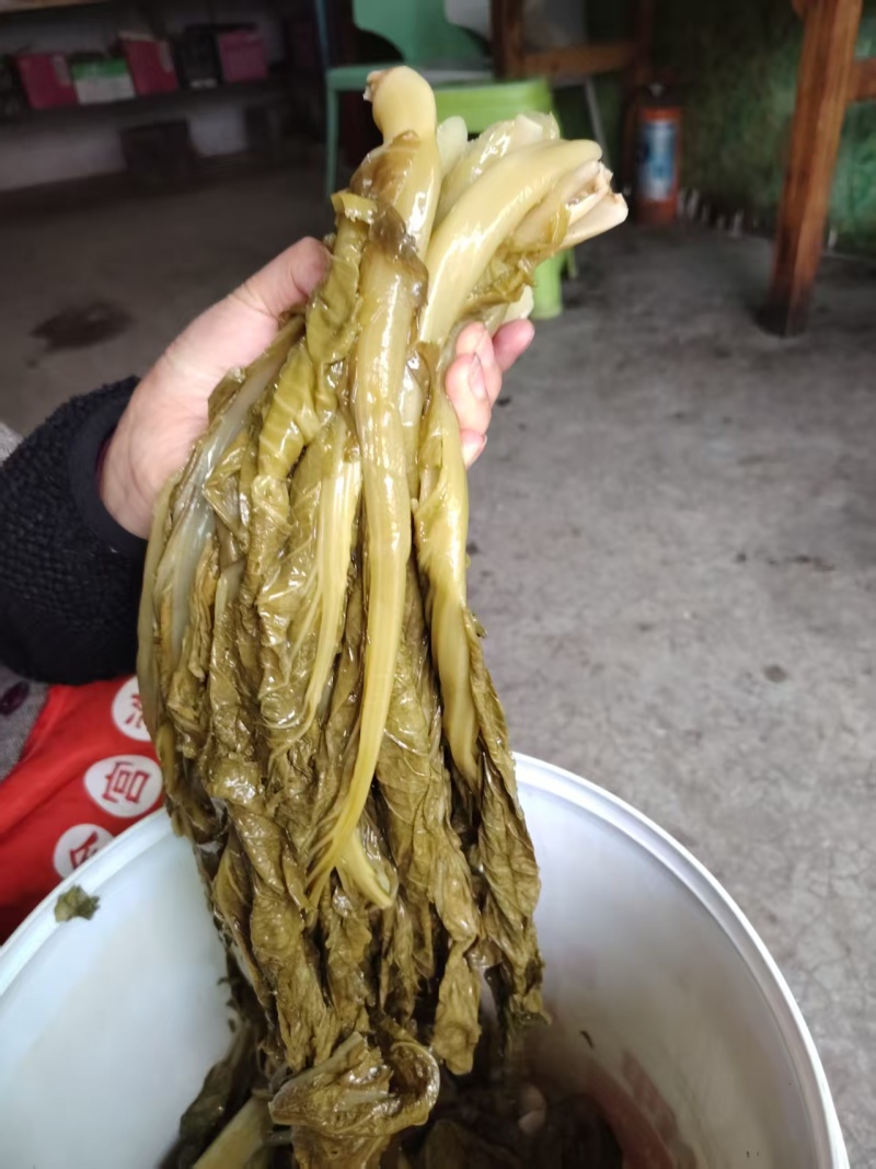 贵州酸菜