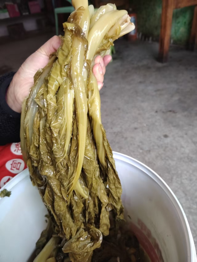 贵州酸菜