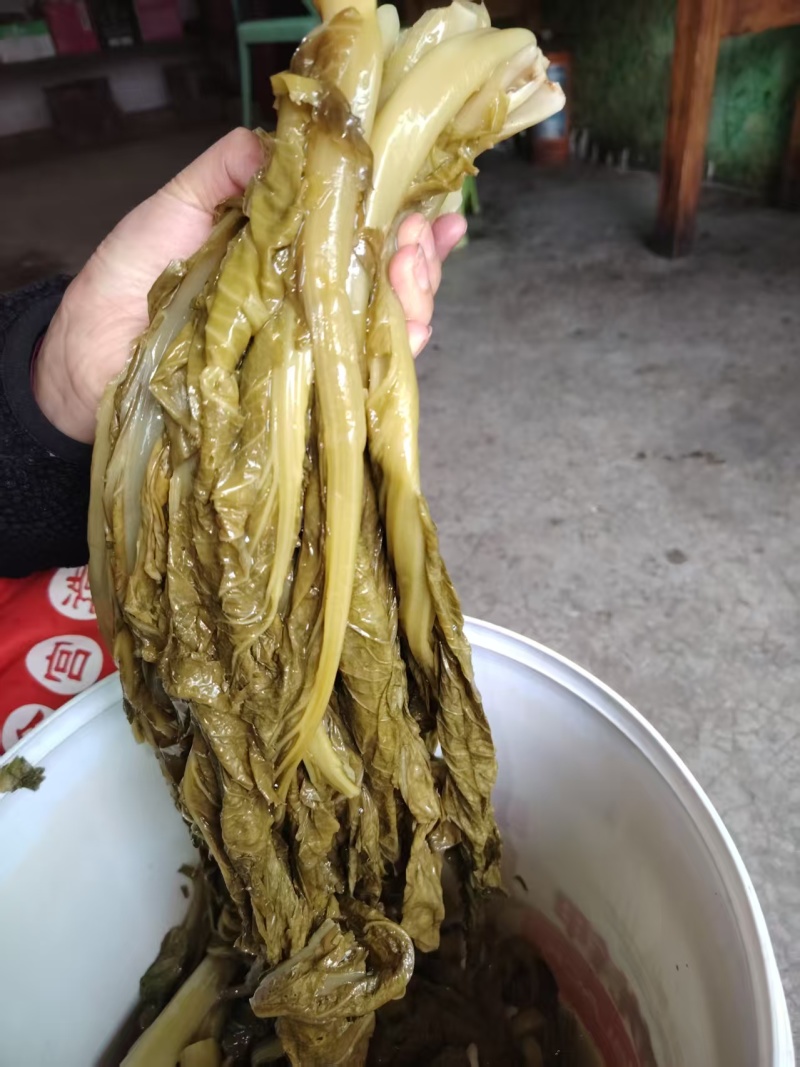 贵州酸菜