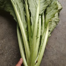青菜
