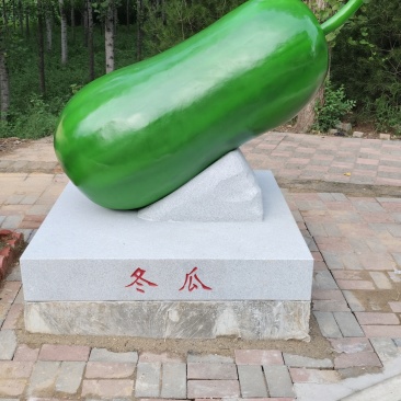 冬瓜