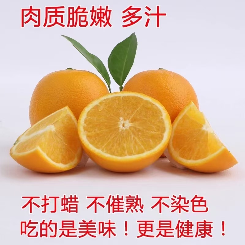 赣南脐橙