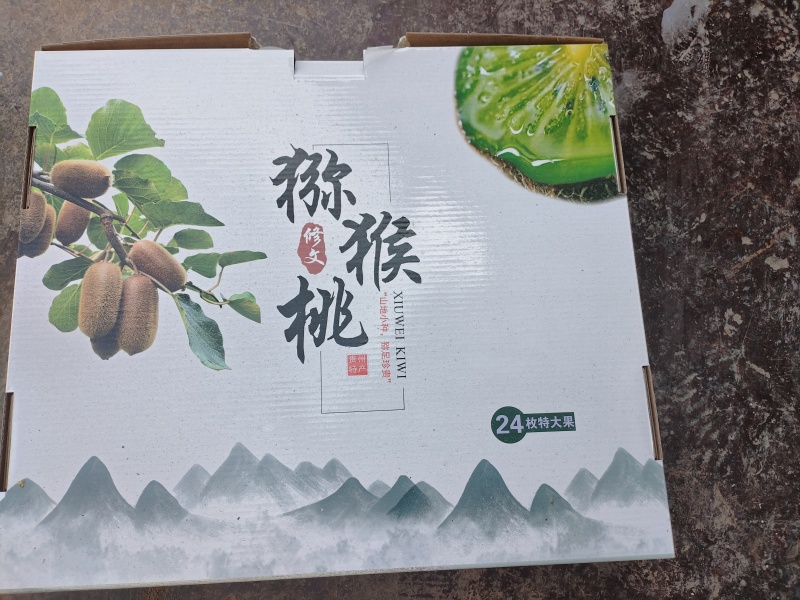 修文猕猴桃
