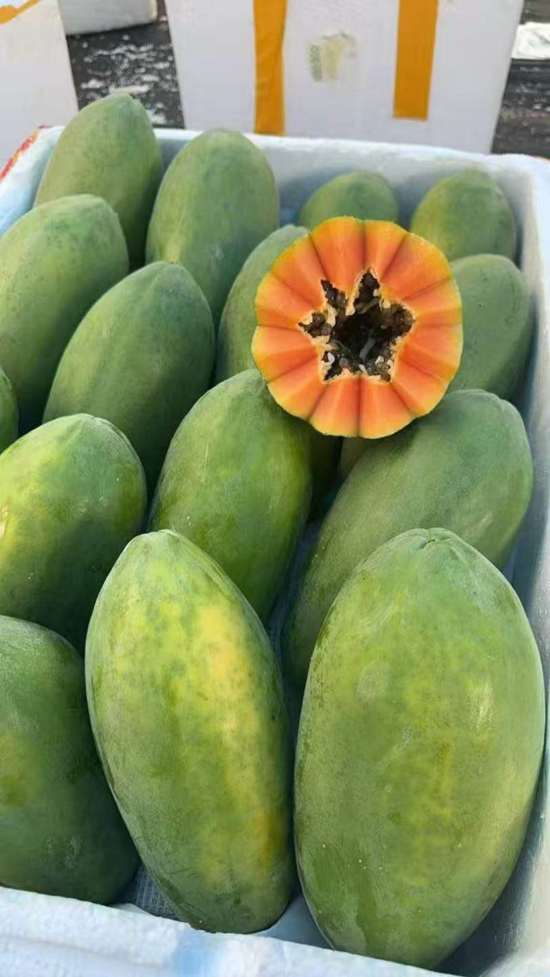 大青冰糖牛奶红心木瓜