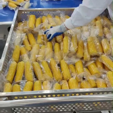 鲜玉米