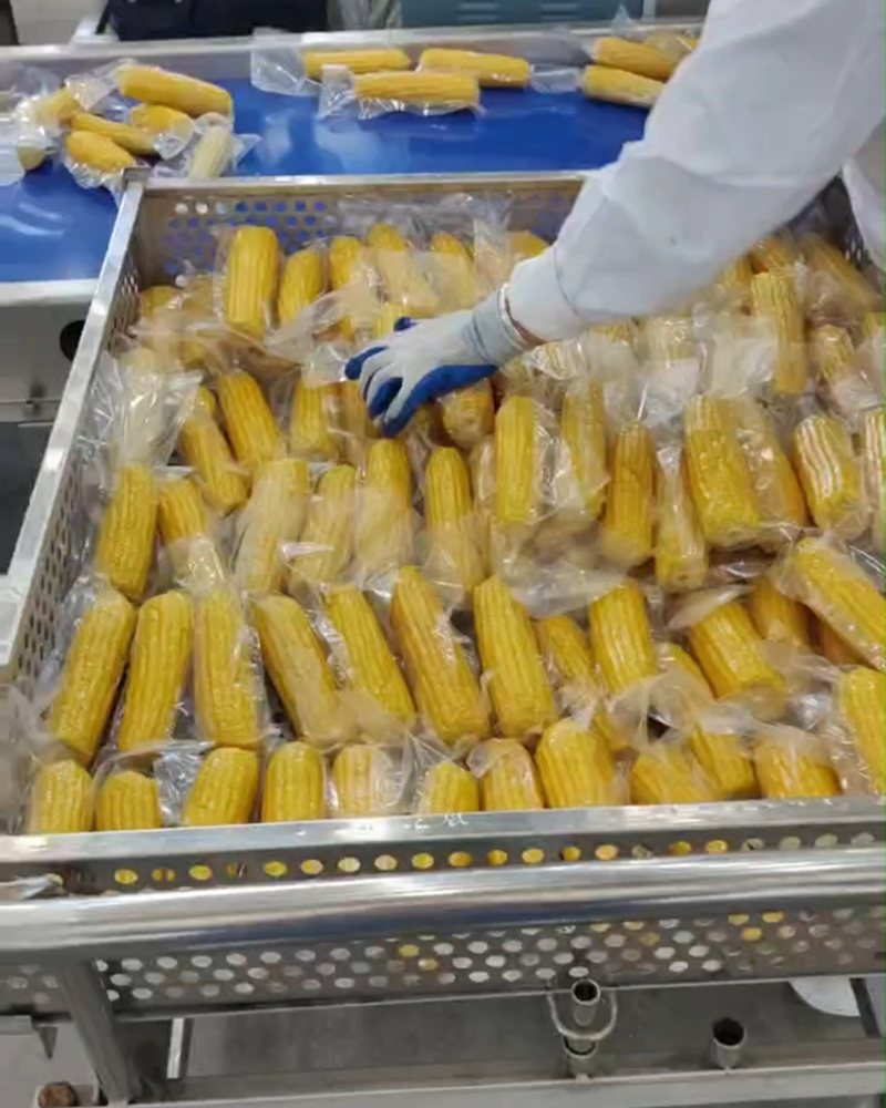 鲜玉米