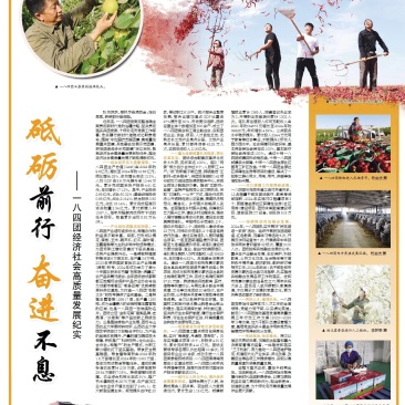 雨露香梨
