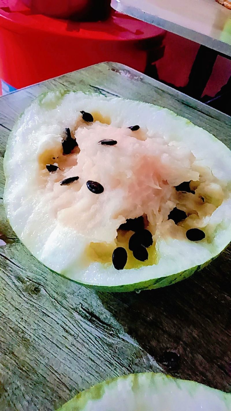 景泰寺滩籽瓜