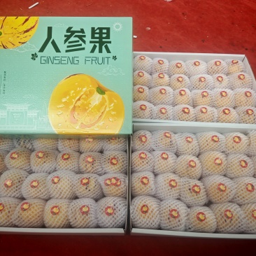 人参果礼盒装