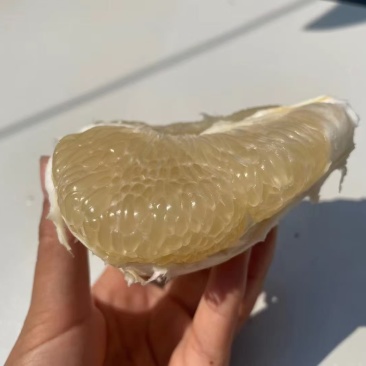 云南德宏瑞丽水晶柚