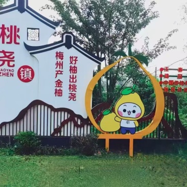 梅州红心柚子，需要批发的老板找我哈