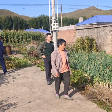 农家肥园子里种的大葱，储秋菜，物美价廉