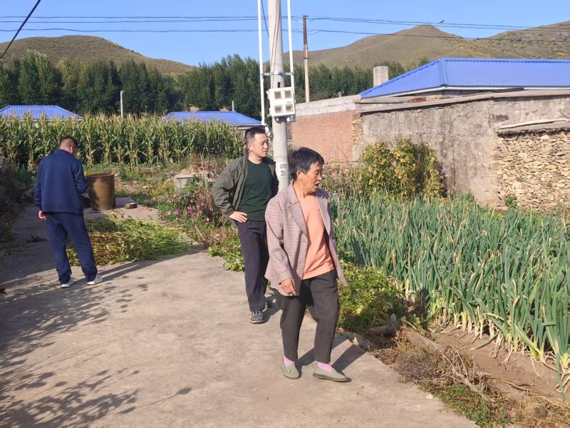 农家肥园子里种的大葱，储秋菜，物美价廉