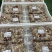 精品牛杂4号牛小肠牛奶丝牛肺牛心牛伞肚