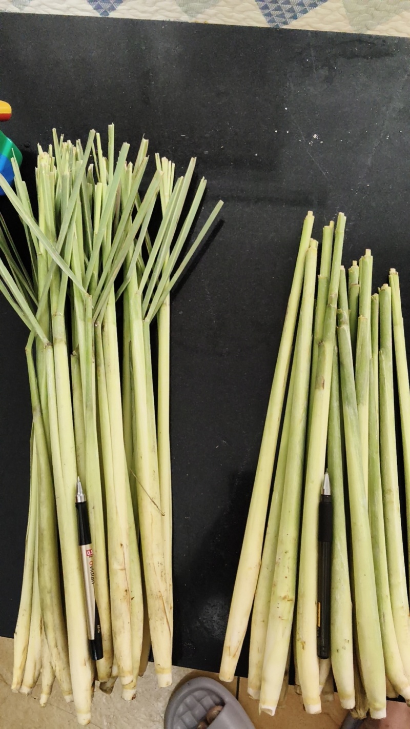 香茅草