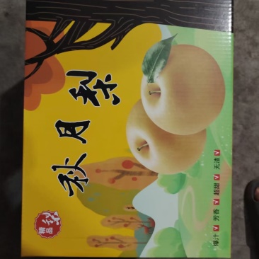 赵县正宗雪梨皇冠梨秋月梨