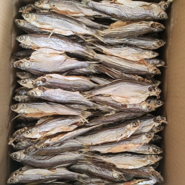 小白鱼干