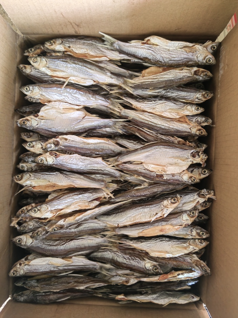小白鱼干
