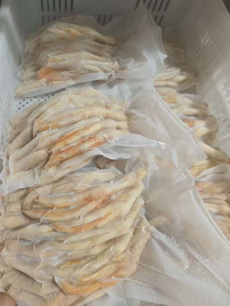 厂家填鸭掌2吨多
