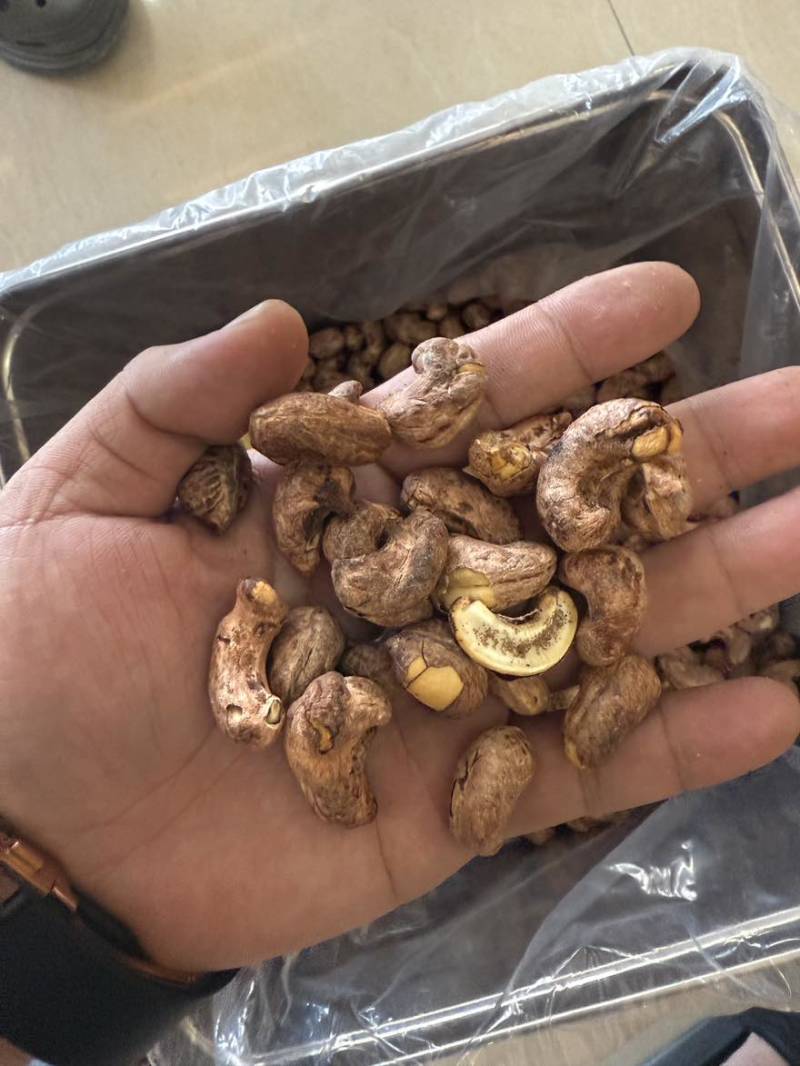 电商货紫衣腰果现货