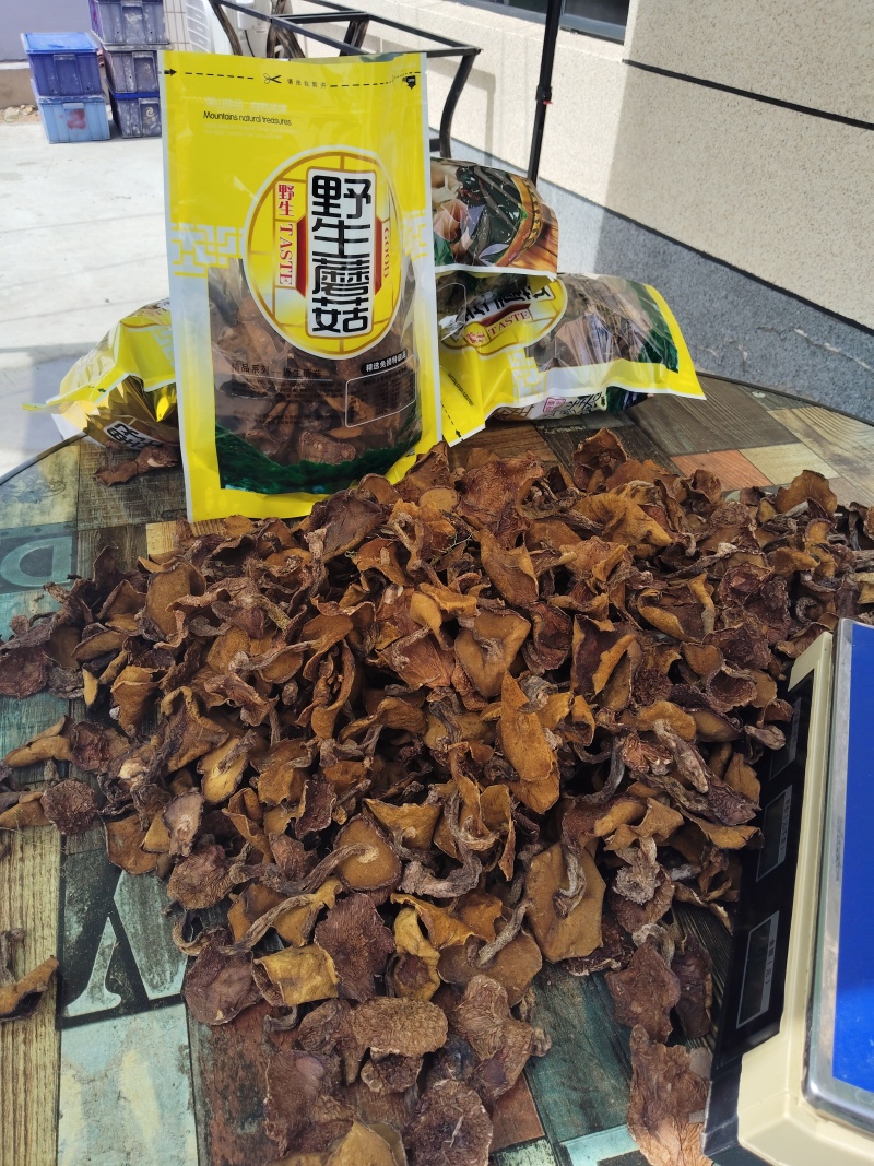 东北松磨通货