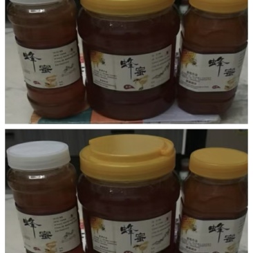 土蜂蜜