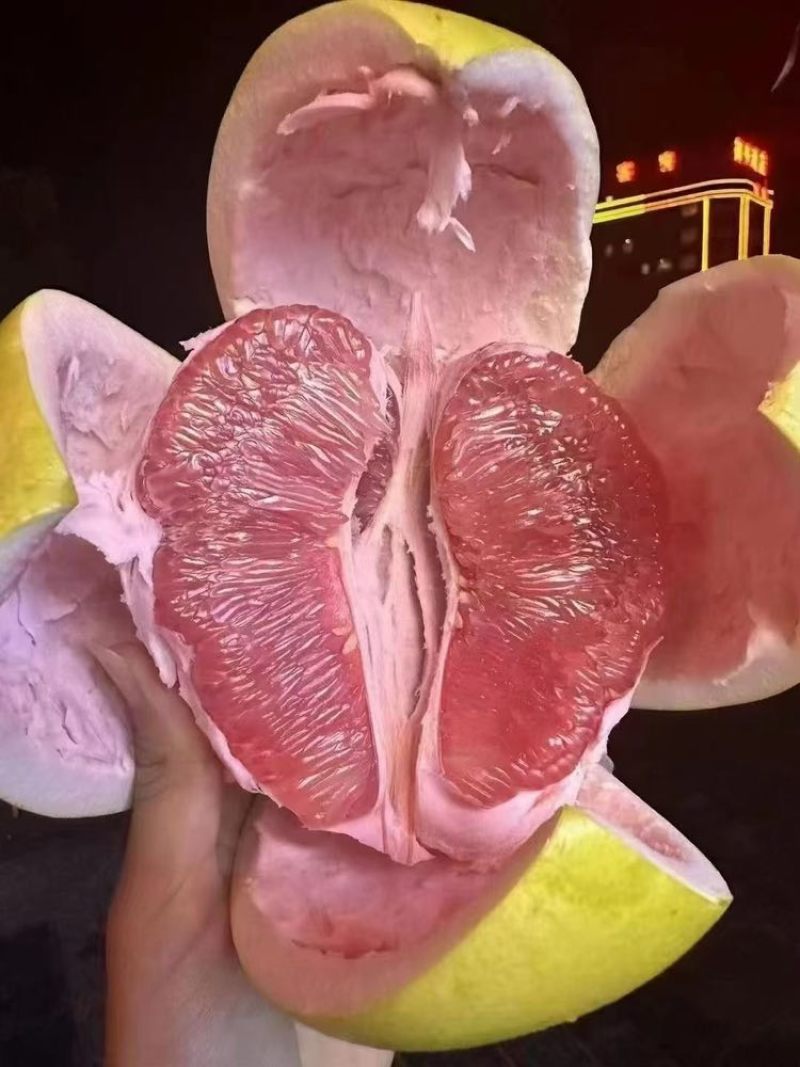 梅县三红蜜柚