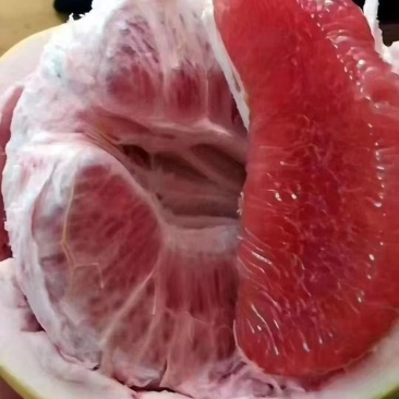 梅县三红蜜柚
